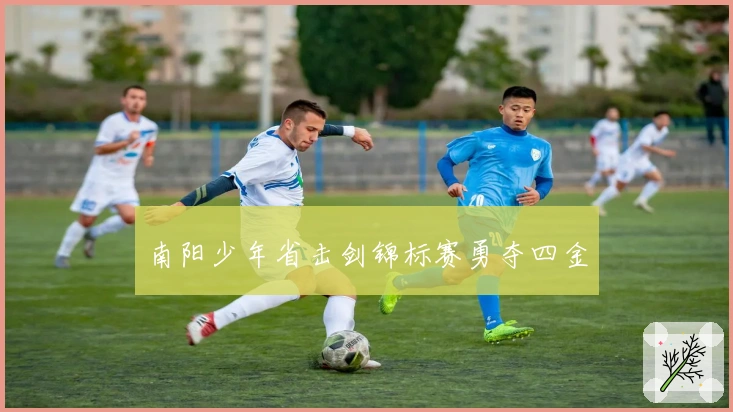 南阳少年省击剑锦标赛勇夺四金